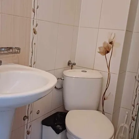 Gæstehus и анхиало *