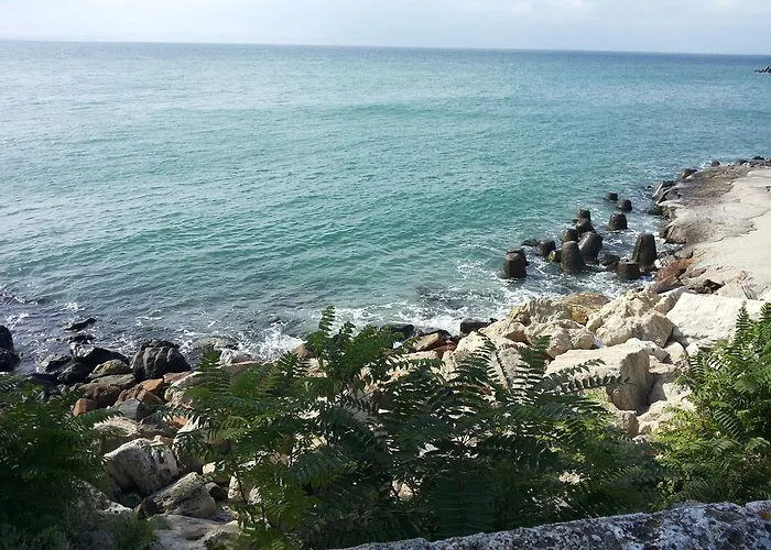 Konukevi и анхиало